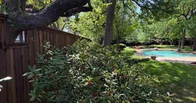 Fence framed around a tree